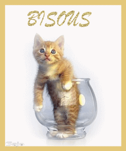 bisous chat